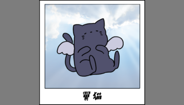 【未確認生物図鑑012】癒しの存在！？翼猫