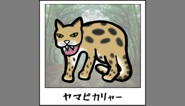 【未確認生物図鑑079】山の中で目を光らせる神秘の猫ヤマピカリャー